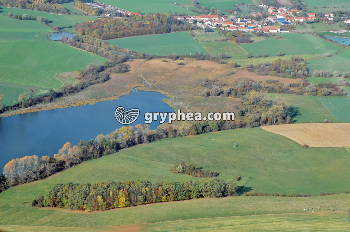 Végétalisation d'un étang - gryphea.com